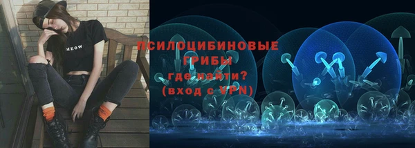 стаф Алексин