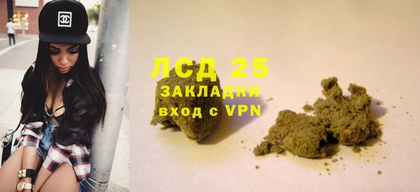 стаф Алексин