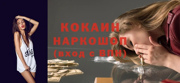 стаф Алексин